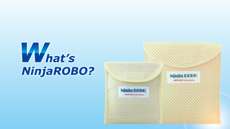 NinjaROBO
